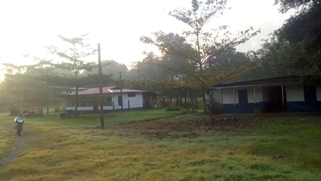 Livestock farm for sale and palm oil, 331 acres
