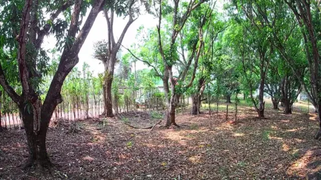 Strategic 1,312 m² Lot for Sale – Orotina, Alajuela | Frontage on Route 27