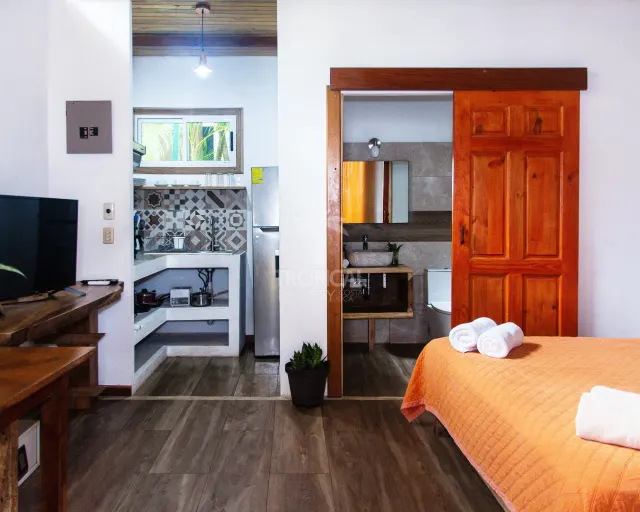 Prime Investment Opportunity: Luxurious Home in Santa Teresa