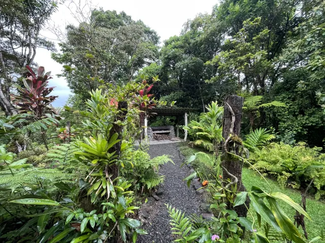 65-Acre Estate with Canopy Tour, Two Homes, horses, and Build-Ready Platforms