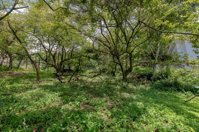 Residential Private Lush Lot in Rio Oro , Santa Ana