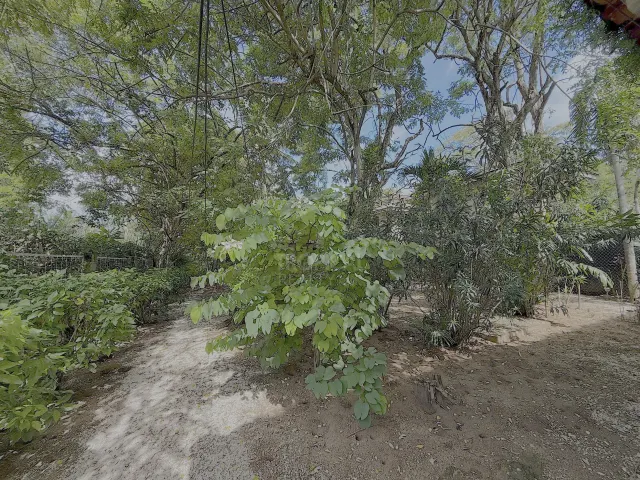 Oceanfront House for Rent in Playa Grande, With Direct Beach Access