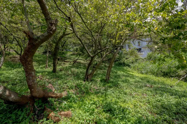 Residential Private Lush Lot in Rio Oro , Santa Ana