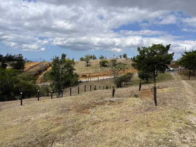 Land for Sale in San Ramón de Alajuela – 3,100 m² with Beautiful Views