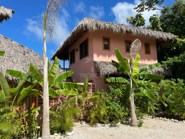 Ocean-View Mixed-Use Property in Mal Pais