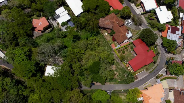 Aerial view of a wooded plot surrounded by neighboring houses and a winding road.