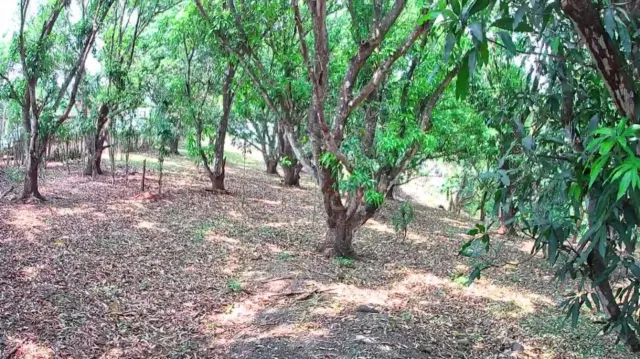 Strategic 1,312 m² Lot for Sale – Orotina, Alajuela | Frontage on Route 27