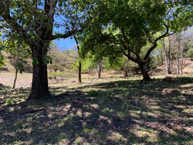 Farm for Sale in Turrúcares – Riverfront with Pools & Ecotourism Potential