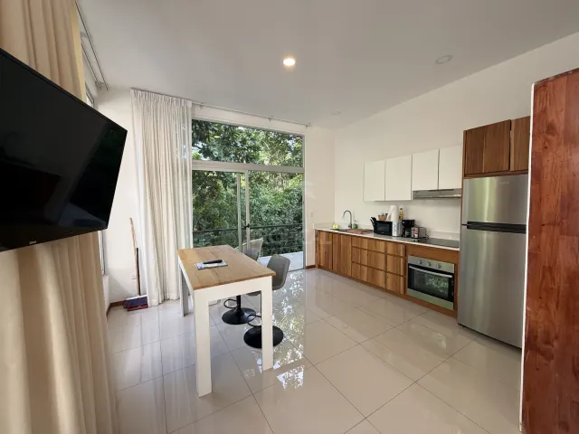 Long-Term Rental: Furnished 1-Bedroom Apartment in Surfside, Playa Potrero