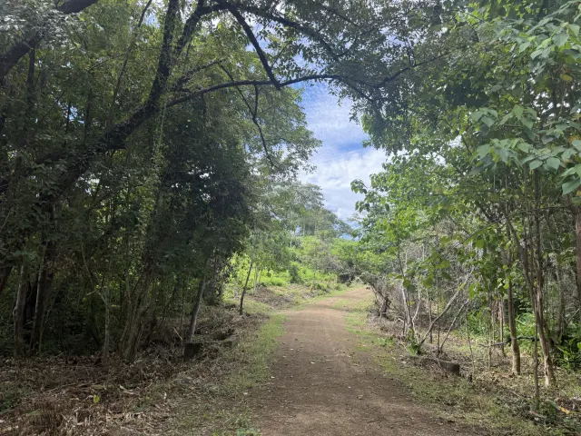 A narrow dirt path leads through dense green trees and vegetation under a cloudy blue sky.