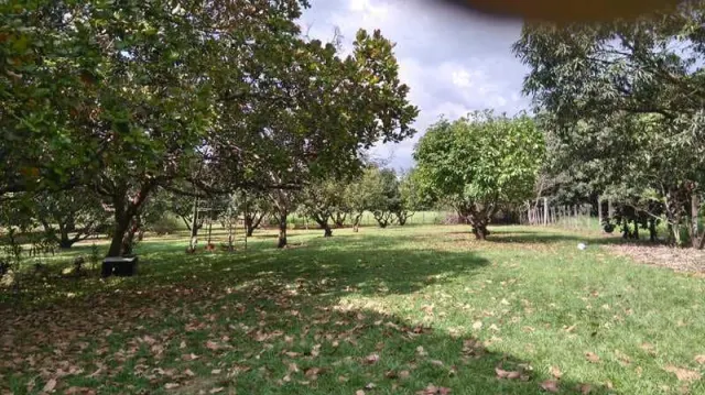 Nature Lover's Paradise: Unique Property with Two Homes on Expansive Land