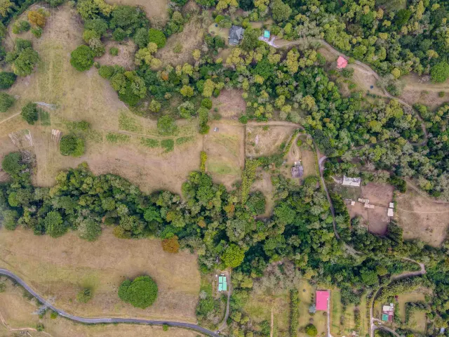 An overhead view showing grassy areas, patches of dense forest, and scattered buildings connected by winding roads.