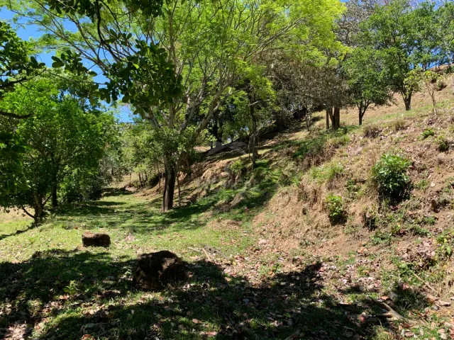 Farm for Sale in Turrúcares – Riverfront with Pools & Ecotourism Potential