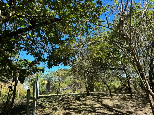 1000m² Lot for Sale in Las Delicias de Cobano: Your Coastal Oasis in Costa Rica.