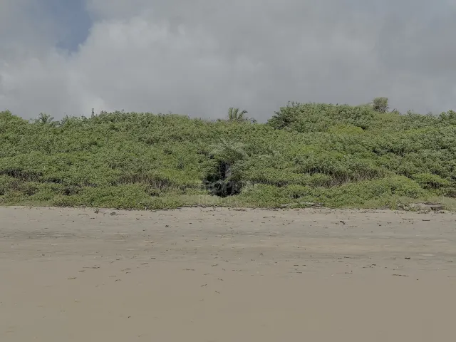 Oceanfront House for Rent in Playa Grande, With Direct Beach Access