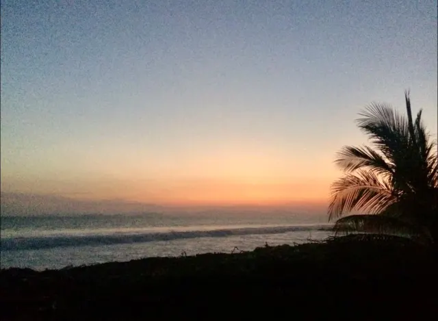 View of the ocean at twilight with waves breaking on the shore and the silhouette of a palm tree on the right side.