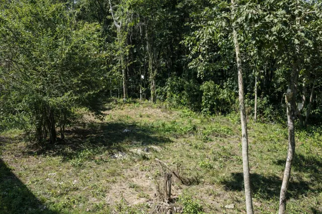 Lot for Sale in Santa Teresa – Privacy Surrounded by Nature