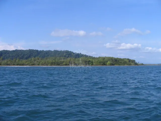 View of a forested coastline and sandy beach across blue water under a blue sky with light clouds.