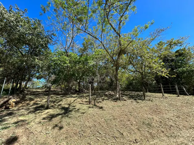 1000m² Lot for Sale in Las Delicias de Cobano: Your Coastal Oasis in Costa Rica.