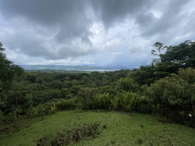 65-Acre Estate with Canopy Tour, Two Homes, horses, and Build-Ready Platforms