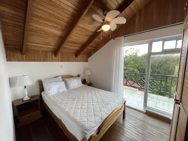 65-Acre Estate with Canopy Tour, Two Homes, horses, and Build-Ready Platforms