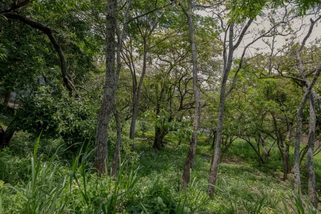 Residential Private Lush Lot in Rio Oro , Santa Ana
