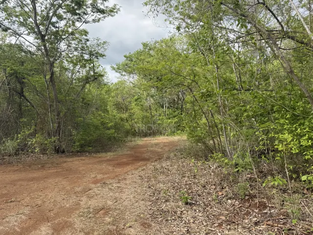939 Acres Between Playa Flamingo & Tamarindo | Ocean Views | 7 Registered Water Wells