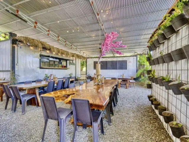 Commercial & Residential Investment Opportunity in Playa Potrero