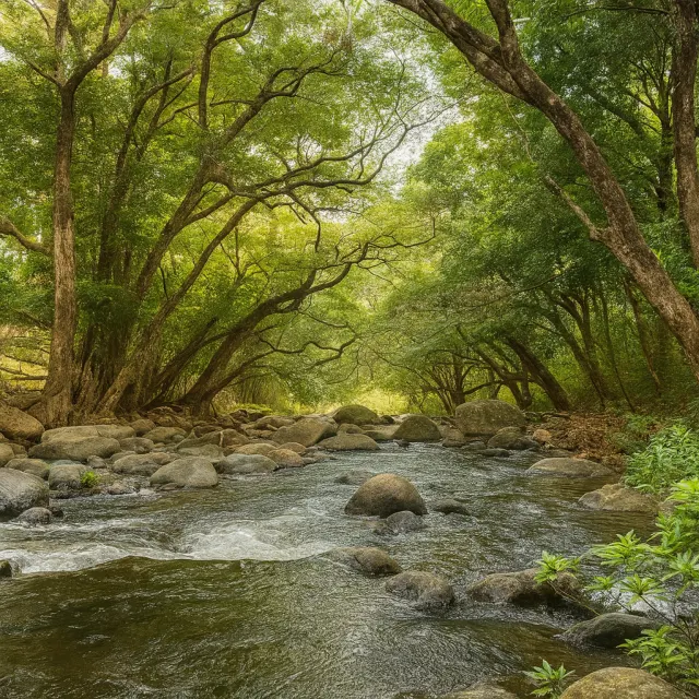11,023 acres Agricultural Property with Water and High Potential