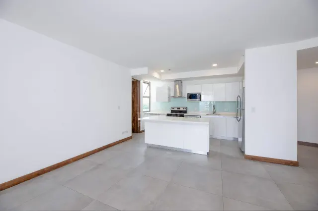 Luxury 10th Floor Condo with Panoramic Views in Nunciatura
