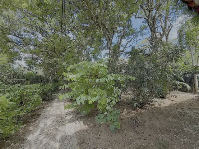Oceanfront House for Rent in Playa Grande, With Direct Beach Access