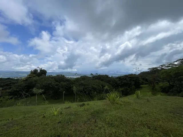 65-Acre Estate with Canopy Tour, Two Homes, horses, and Build-Ready Platforms