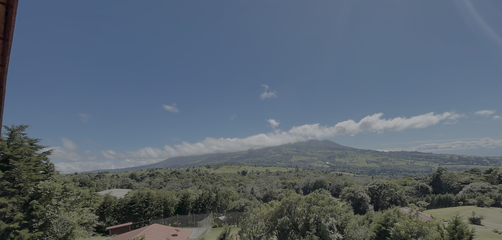 Properties for sale in Alajuela