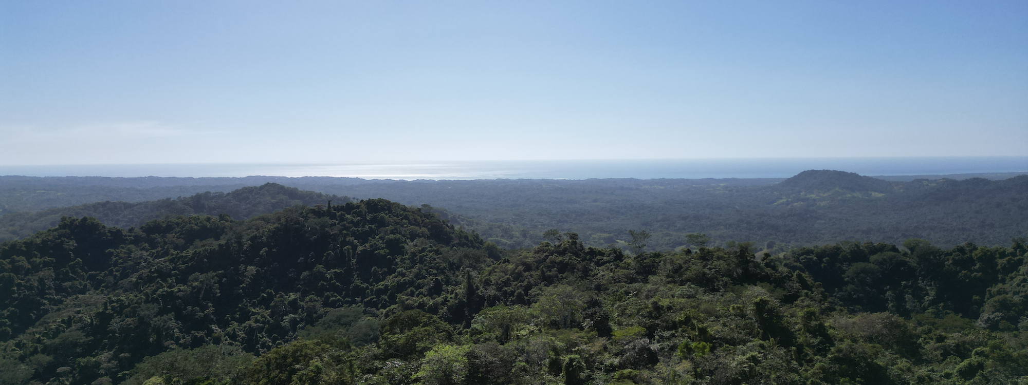 Properties for Sale in Cóbano Costa Rica — Homes, Land & Investment Real Estate